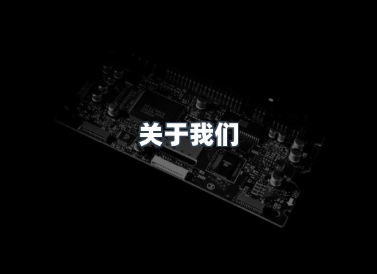 专业团队